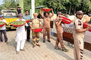 इन्सानियत: ब्लॉक रायकोट के ‘इन्सां’ बने बेजुबानों का ‘सहारा’