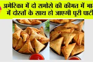 Samosa Price in USA: अमेरिका में दो समोसे की कीमत में भारत में दोस्तों के साथ हो जाएगी पूरी पार्टी!