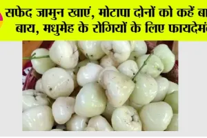 White Jamun Benefits: सफेद जामुन खाएं, मोटापा दोनों को कहें बाय-बाय, मधुमेह के रोगियों के लिए फायदेमंद