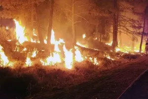 California wildfire: कैलिफोर्निया के जंगलों में भीषण आग, सैकड़ों इमारतें खतरे में