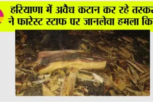हरियाणा में अवैध कटान कर रहे तस्करों ने फारेस्ट स्टाफ पर जानलेवा हमला किया