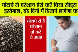 Chia Seeds for weight loss: मोटापे से परेशान इस तरह करें चिया सीड का इस्तेमाल, कुछ ही दिनों में दिखाई देने लगेगा फर्क