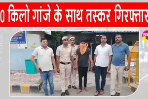 दिल्ली पुलिस ने 30.595 किलो गांजा सहित ड्रग पैडलर को किया गिरफ्तार
