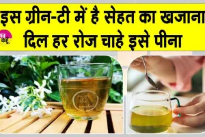 Green Tea Benefits: ग्रीन-टी! दिल की सेहत करे हरी, वजन कम करे फ्री!