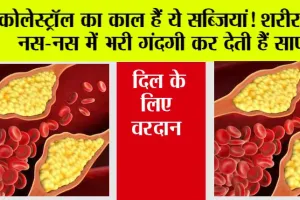 High Cholesterol: कोलेस्ट्रॉल का काल हैं ये सब्जियां! शरीर की नस-नस में भरी गंदगी कर देती हैं साफ