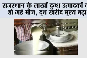 राजस्थान के लाखों दुग्ध उत्पादकों की हो गई मौज, दूध खरीद मूल्य बढ़ा