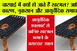 Khatmal Se Kaise Bache: चारपाई में क्यों हो जाते हैं खटमल? जानिए कारण, नुकसान और आयुर्वेदिक समाधान