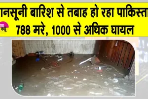 Pakistan Monsoon Rain 2025: पाकिस्तान में मानसूनी बारिश का कहर,  788 की मौत, 1000 से अधिक घायल