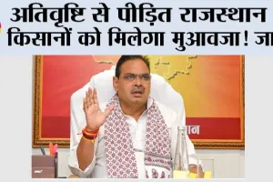 अतिवृष्टि से पीड़ित राजस्थान के किसानों को मिलेगा मुआवजा! जानें किसानों की मांग