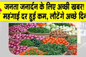 India Wholesale Inflation July 2025: जनता जनार्दन के लिए अच्छी खबर! महंगाई हुई कम