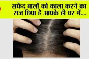 Reverse White Hair Naturally: सफेद बालों को काला करने का राज छिपा है आपके ही घर में, जानकर हो जाओगे हैरान