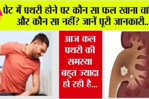 Stomach Stone: पेट में पथरी होने पर कौन सा फल खाना चाहिए और कौन सा नहीं? जानें पूरी जानकारी..