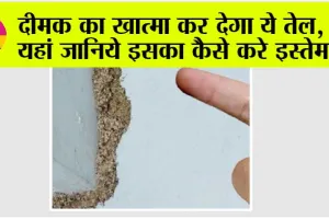 Termite Treatment: दीमक का खात्मा कर देगा ये तेल, तो यहां जानिये इसका कैसे करे इस्तेमाल