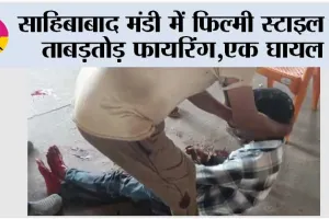 UP Crime News: साहिबाबाद मंडी में फिल्मी स्टाइल में ताबड़तोड़ फायरिंग, एक घायल