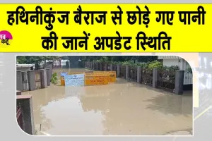 Yamuna River flood: हथिनीकुंड बैराज से छोड़े गए पानी ने लिया रौद्र रूप, जानें स्थिति