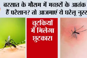Mosquito Home Remedies: बरसात के मौसम में मच्छरों के आतंक से हैं परेशान? तो आजमाएं ये घरेलू नुस्खे, चुटकियों में मिलेगा छुटकारा