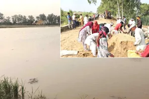 Bhakra Canal: भाखड़ा नहर की पटरी टूटी, 300 एकड़ फसल जलमग्न