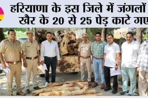 वाइल्ड लाइफ व फारेस्ट टीम की संयुक्त कार्रवाई, जंगलों से खैर के 20 से 25 पेड़ काटे गए, 82 पीस बरामद
