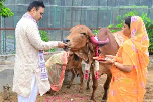 Gopashtami 2025: मुख्यमंत्री भजनलाल शर्मा ने मुख्यमंत्री निवास पर किया गौ-पूजन