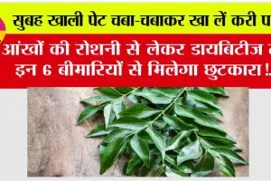 Curry Leaves: सुबह खाली पेट चबा-चबाकर खा लें करी पत्ता, आंखों की रोशनी से लेकर डायबिटीज तक इन 6 बीमारियों से मिलेगा छुटकारा!…