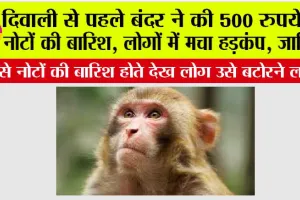Diwali 2025: दिवाली से पहले बंदर ने की 500 रुपये के नोटों की बारिश, लोगों में मचा हड़कंप, जानिये