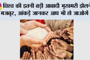 Food Crises Report 2025: विश्व की इतनी बड़ी आबादी भूखमरी झेलने को मजबूर, आंकड़े जानकर आप भी हो जाओगे हैरान