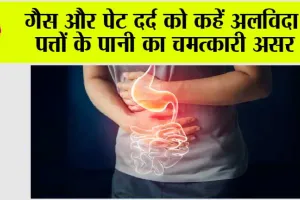 Healthy Tips For Stomach: गैस और पेट दर्द को कहें अलविदा, पत्तों के पानी का चमत्कारी असर
