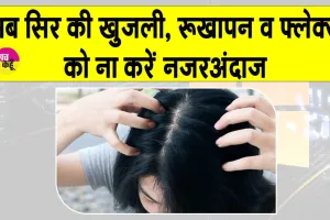 Itchy Scalp Treatment: सर्दियों में सिर की खुजली से परेशान? अपनाएं ये आसान से समाधान