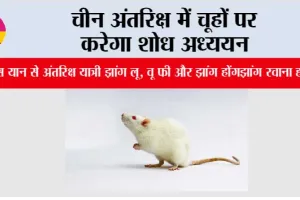 चीन अंतरिक्ष में चूहों पर करेगा शोध अध्ययन