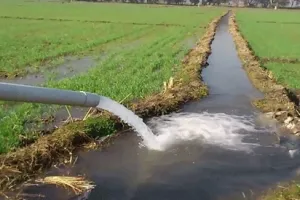 Digital Agriculture: 3 करोड़ के करीब किसान सारथी प्लेटफॉर्म से जुड़े डिजिटल कृषि परामर्श सेवाओं का उठा रहे लाभ
