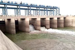 Bhakra System Regulation: भाखड़ा प्रणाली की नहरों का वरीयताक्रम निर्धारित, इतनी जून तक रहेगा प्रभावी