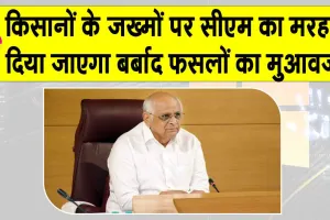 Gujarat: किसानों को मिलेगा बर्बाद फसलों के लिए राहत पैकेज, सीएम ने किया वादा