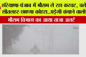 Fog-in-Haryana-Punjab: हरियाणा-पंजाब में मौसम ले रहा करवट, चलेगी शीतलहर-छाएगा कोहरा..पड़ेगी कंपाने वाली ठंड