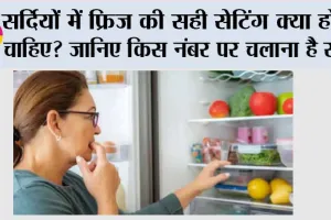 Fridge Temperature in Winter: सर्दियों में फ्रिज की सही सेटिंग क्या होनी चाहिए? जानिए किस नंबर पर चलाना है सही