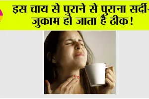 Ginger Tea: सर्दी, खांसी, गला खराब होने पर इस चाय को पिएं… फिर देखना कमाल