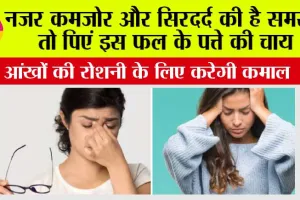 Guava Leaves For Sharper Eyesight: नजर कमजोर और सिरदर्द की है समस्या तो पिएं इस फल के पत्ते की चाय, आंखों की रोशनी के लिए करेगी कमाल