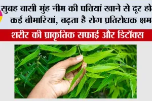 Health Tips: सुबह बासी मुंह नीम की पत्तियां खाने से दूर होती हैं कई बीमारियां, बढ़ता है रोग प्रतिरोधक क्षमता