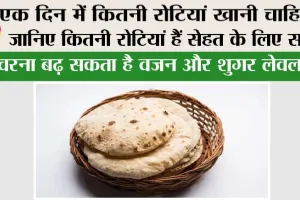 Roti: एक दिन में कितनी रोटियां खानी चाहिए? जानिए कितनी रोटियां हैं सेहत के लिए सही, वरना बढ़ सकता है वजन और शुगर लेवल
