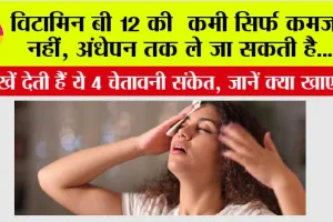 Signs of Vitamin B12 Deficiency: विटामिन B12 की कमी सिर्फ कमजोरी नहीं, अंधेपन तक ले जा सकती है,  आंखें देती हैं ये 4 चेतावनी संकेत, जानें क्या खाएं