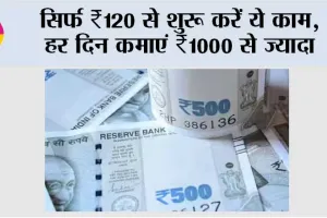 Small Business Ideas 2025: सिर्फ ₹120 से शुरू करें ये काम, हर दिन कमाएं ₹1000 से ज्यादा