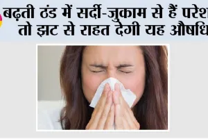 Winter Cold: बढ़ती ठंड में सर्दी-जुकाम से हैं परेशान तो झट से राहत देगी यह औषधि