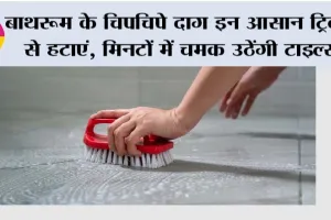 Bathroom Cleaning Tips: बाथरूम के चिपचिपे दाग इन आसान ट्रिक्स से हटाएं, मिनटों में चमक उठेंगी टाइल्स