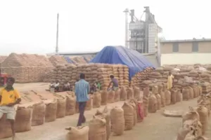 करनाल के व्यापरी ने गुहला चीका के चार राइस मिलरो को लगाई करोड़ो की चपत, चावल खरीद कर रूपये देने से किया इंकार