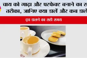 Kadak Chai: चाय को गाढ़ा और परफेक्ट बनाने का सही तरीका, जानिए क्या डालें और कब डालें!