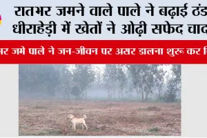 रातभर जमने वाले पाले ने बढ़ाई ठंड, धीराहेड़ी में खेतों ने ओढ़ी सफेद चादर