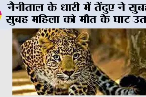 Leopard Attack: नैनीताल के धारी में तेंदुए ने महिला को मौत के घाट उतारा