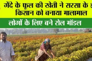 Sirsa: गेंदे के फूल की खेती ने सरसा के इस किसान को बनाया मालामाल, लोगों के लिए बने रोल मॉडल