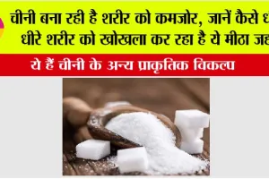 Sugar Substitutes: चीनी बना रही है शरीर को कमजोर, जानें कैसे धीरे-धीरे शरीर को खोखला कर रहा है ये मीठा जहर