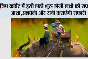 Uttarakhand: कॉर्बेट पार्क में इसी हफ्ते से शुरू होगी हाथी सफारी, आशा,अलबेली और रानी कराएंगी सफारी