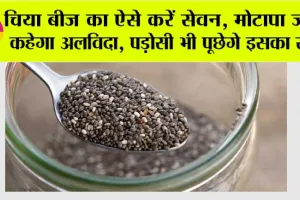 Weight Loss: चिया बीज का ऐसे करें सेवन, मोटापा जल्द कहेगा अलविदा, पड़ोसी भी पूछेगे इसका राज